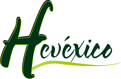 Hotel Hevéxico